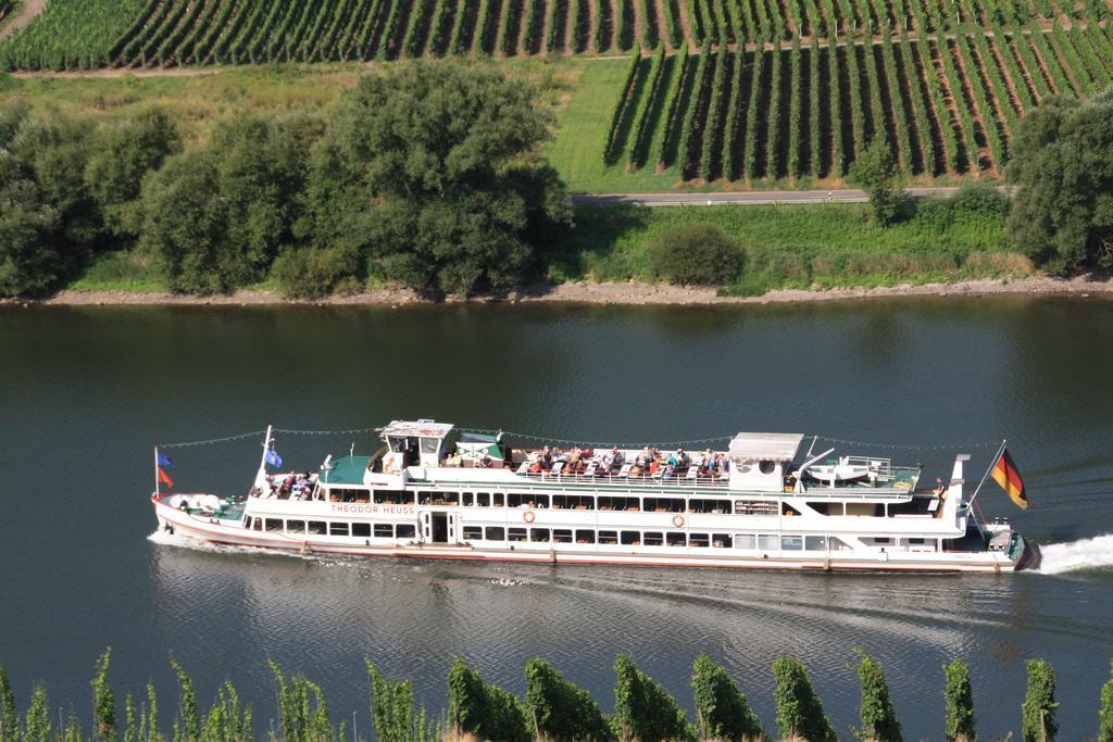 Weingut-Brennerei-Gaestehaus Emil Dauns Reil Exterior photo