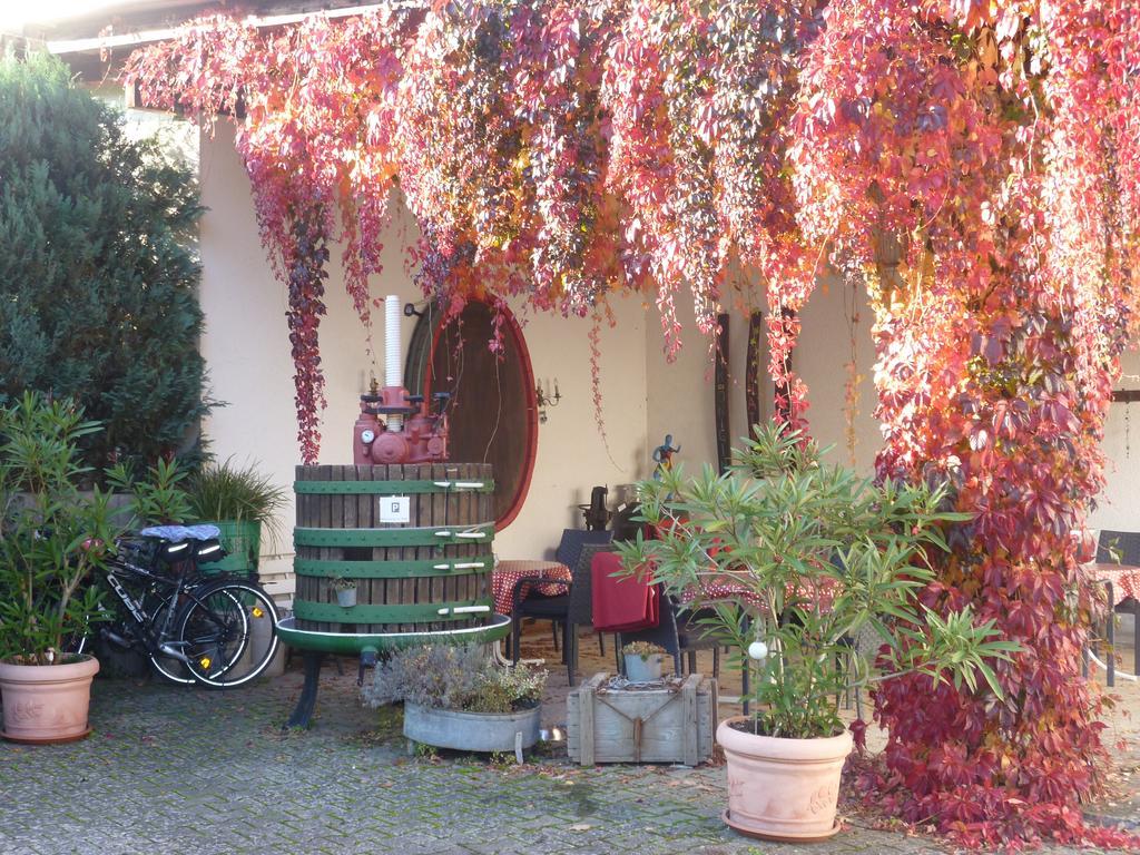 Weingut-Brennerei-Gaestehaus Emil Dauns Reil Exterior photo