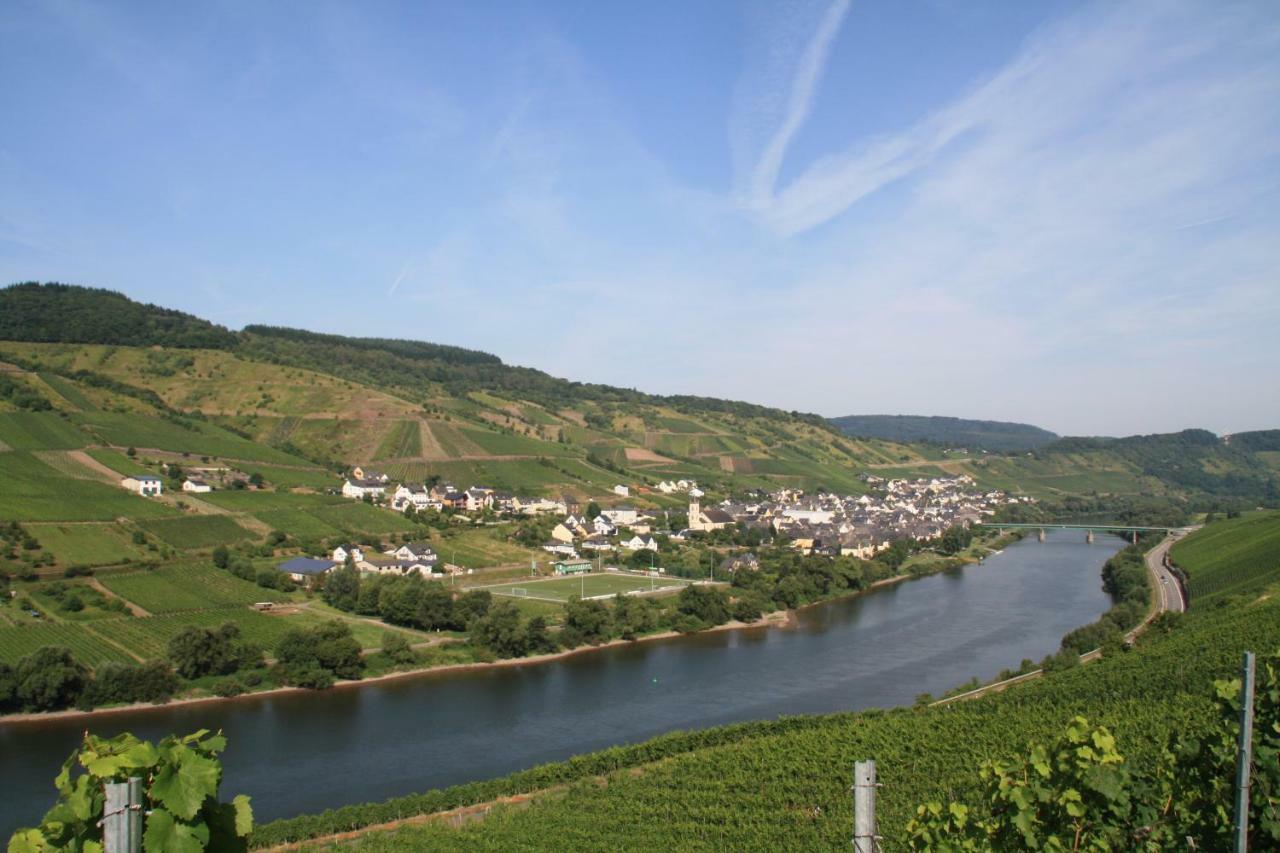 Weingut-Brennerei-Gaestehaus Emil Dauns Reil Exterior photo