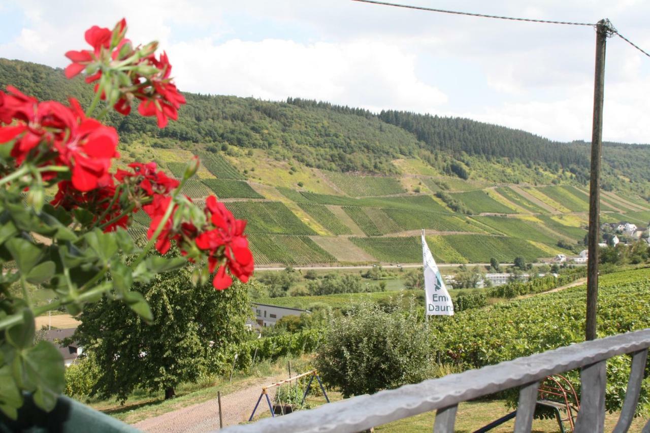 Weingut-Brennerei-Gaestehaus Emil Dauns Reil Exterior photo